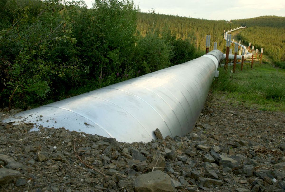 A buried section of the Trans-Alaska Pipeline emerges a few miles north of the Yukon River on July 21, 2002 in Fairbanks, Alaska.   (Barry Williams/Getty Images)