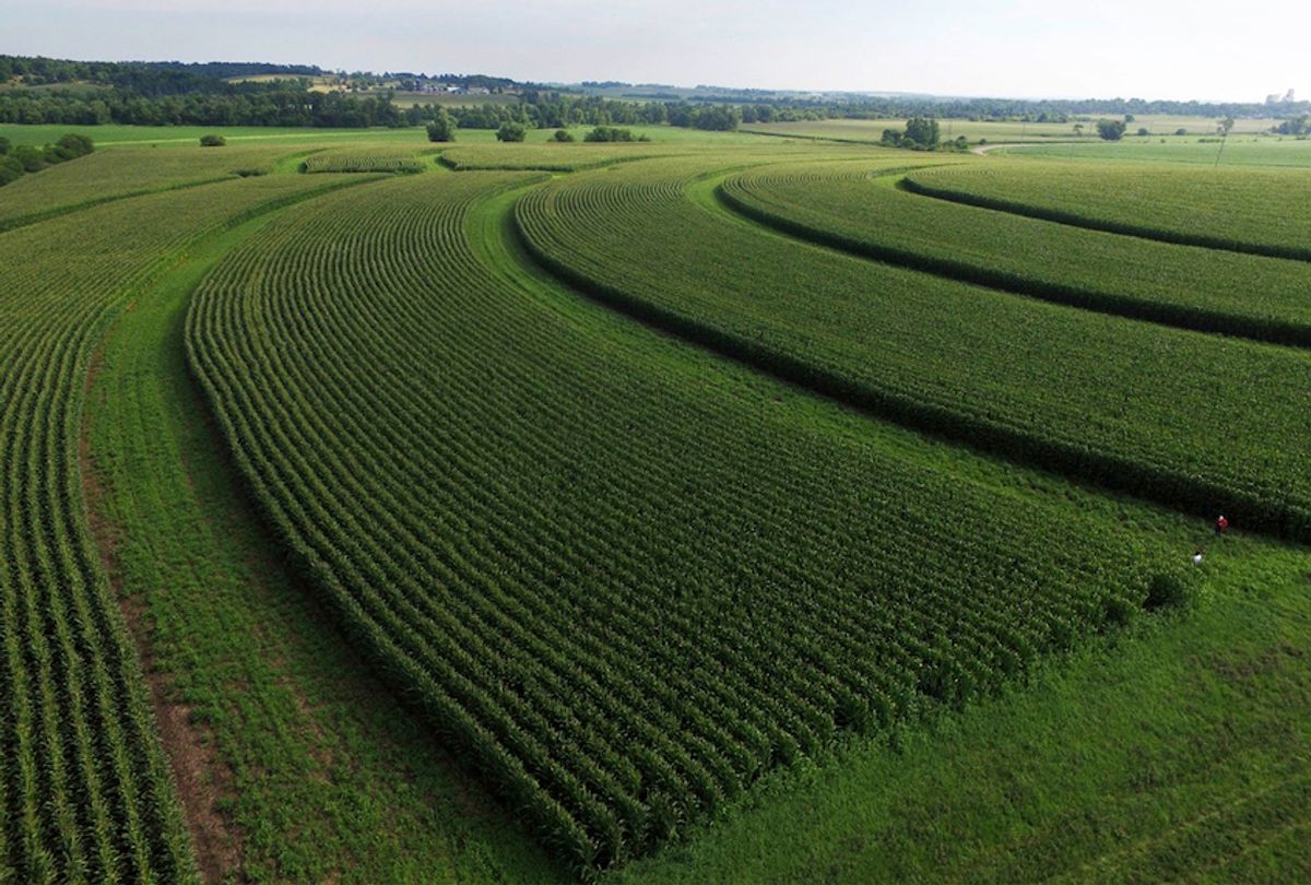 Farm land. Местность трава. Осака поля. Растительная местность. Растения ферма круги.