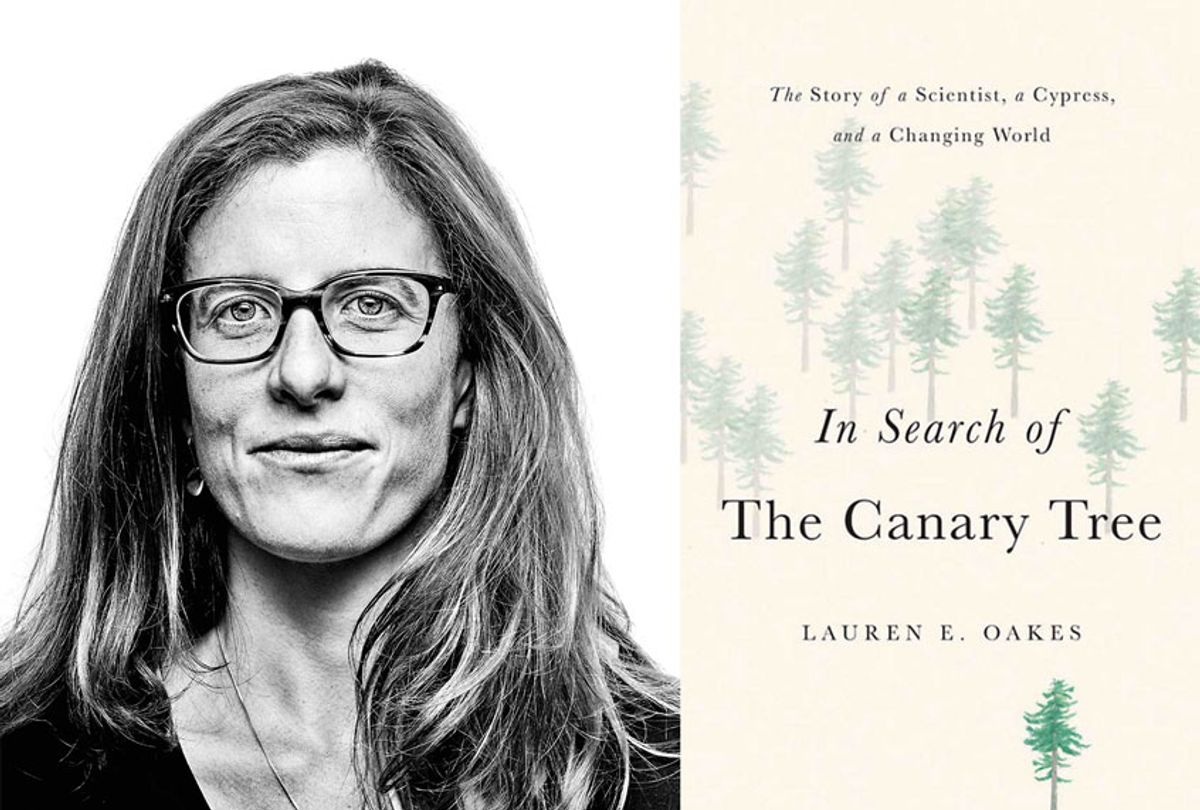 In Search of The Canary Tree by Lauren E. Oakes (Basic Books)