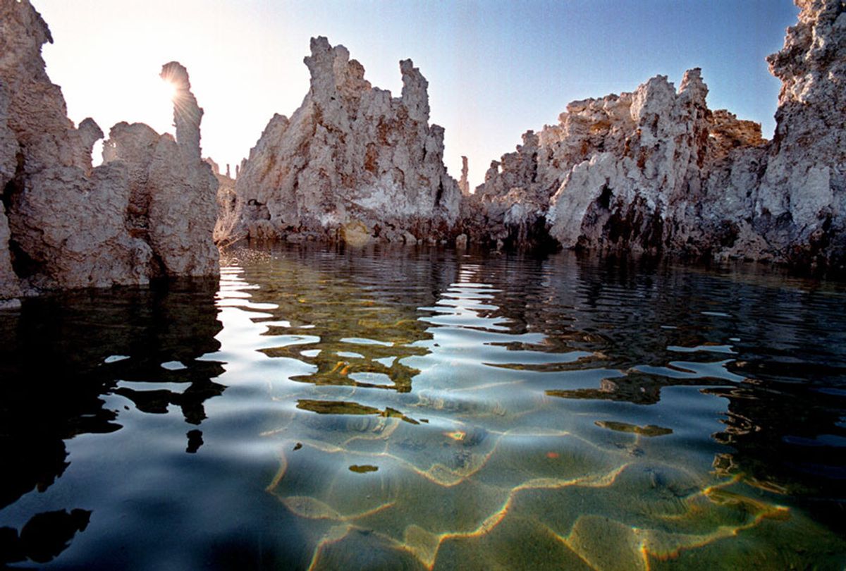 The famed "Tufa" formations of Mono Lake, near Lee Vining, CA, will slowly be re-submerged into the briny water where they were formed by an underwater chemical reaction between submerged freshwater springs and salty lake water June 22, 2000. The fragile limestone formations became exposed to the air as a result of the diverting of five inflowing streams to quench the thirst of the city of Los Angeles, 350 miles to the south, since 1941. Two decades of environmental activism to restore the water level and save the threatened ecosystem of one of the oldest lakes in North America, more than 760,000 years old, resulted in the implementation of a stream restoration plan in 1998 which will ultimately return the lake level to within 25 feet of its 1941 elevation. (David McNew/Newsmakers)