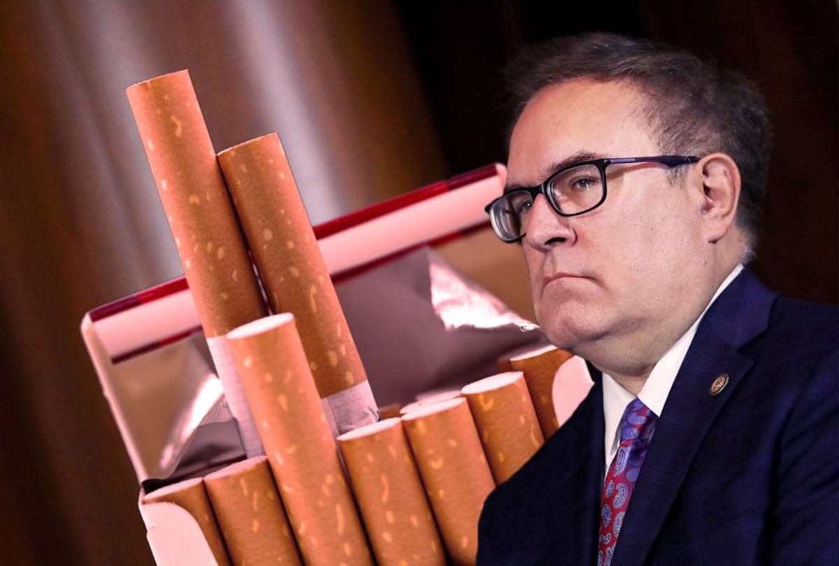 Environmental Protection Agency Administrator Andrew Wheeler (Getty Images/Salon)
