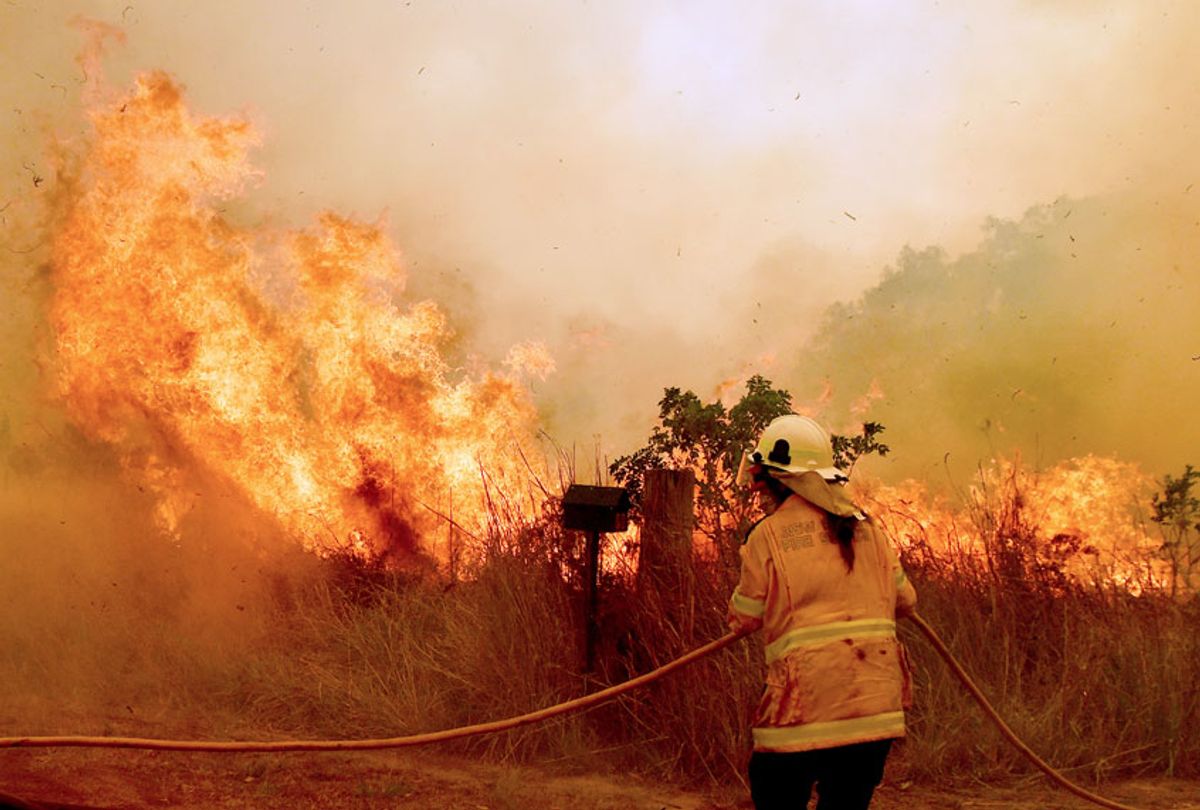 RFS Firefighters battle a spot fire on November 13, 2019 in Hillville, Australia. Catastrophic fire conditions - the highest possible level of bushfire danger - have eased across greater Sydney, Illawarra and Hunter areas thanks to a slight cool change, however dozens of bushfires are still burning. A state of emergency, as declared by NSW Premier Gladys Berejiklian on Monday, is still in effect, giving emergency powers to Rural Fire Service Commissioner Shane Fitzsimmons and prohibiting fires across the state. (Sam Mooy/Getty Images)