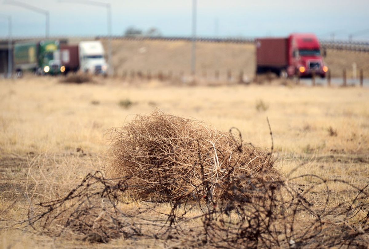 Tumbleweed rolls across a dried out landscape in central California's Kern County as trucks head south toward the Grapevine to begin the climb over the Tejon Pass leading into Southern California, on February 3, 2014. The United States government announced on February 5 a new system of regional hubs to tackle the effects of climate change as the country's southwest battles a historic drought. In January, California declared a state of emergency due to what could be the worst drought in a century for the state, and which has prompted fears of lost harvests and devastating forest fires.  (FREDERIC J. BROWN/AFP via Getty Images)
