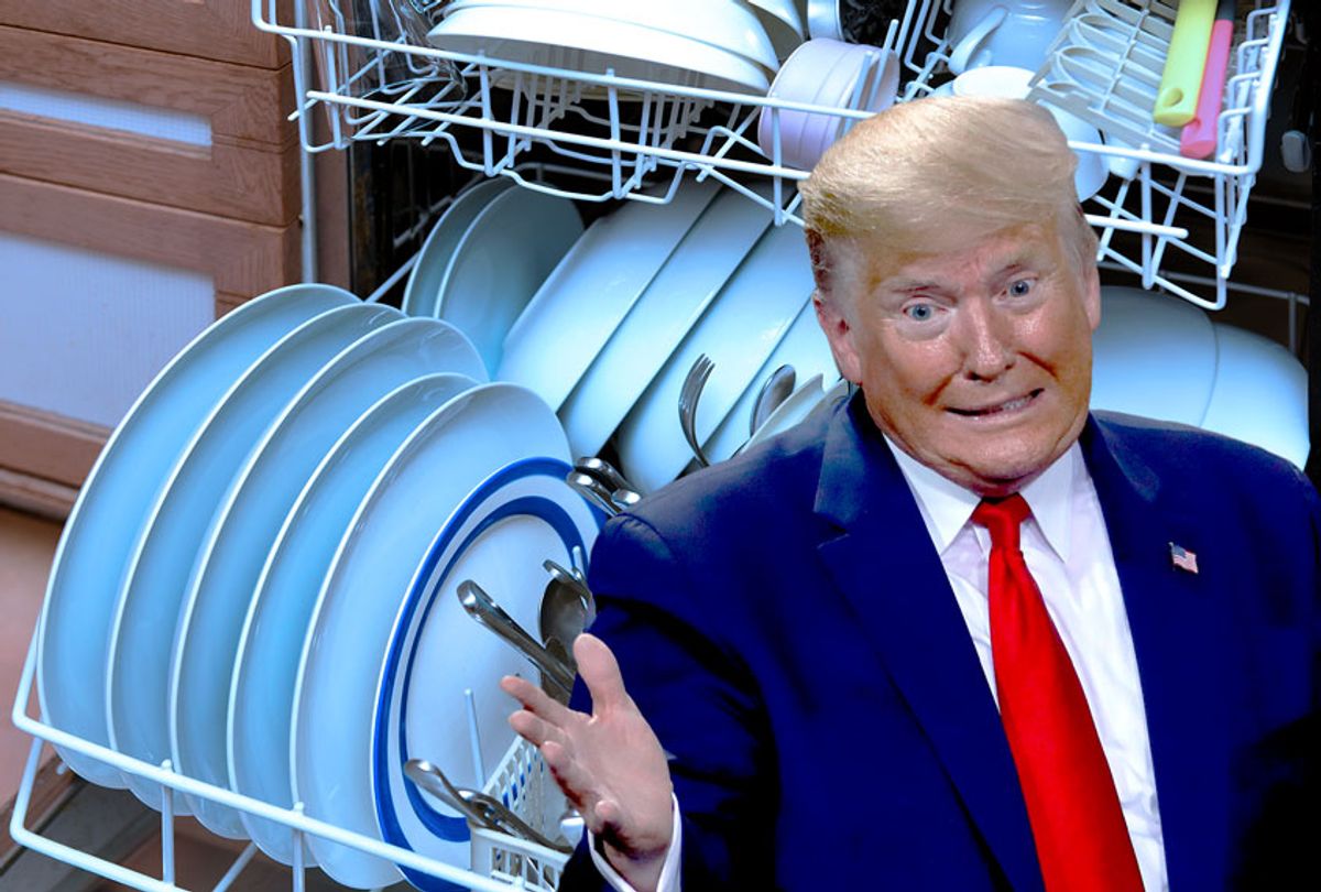 Did Trump Really Make Dishwashers Great Again?