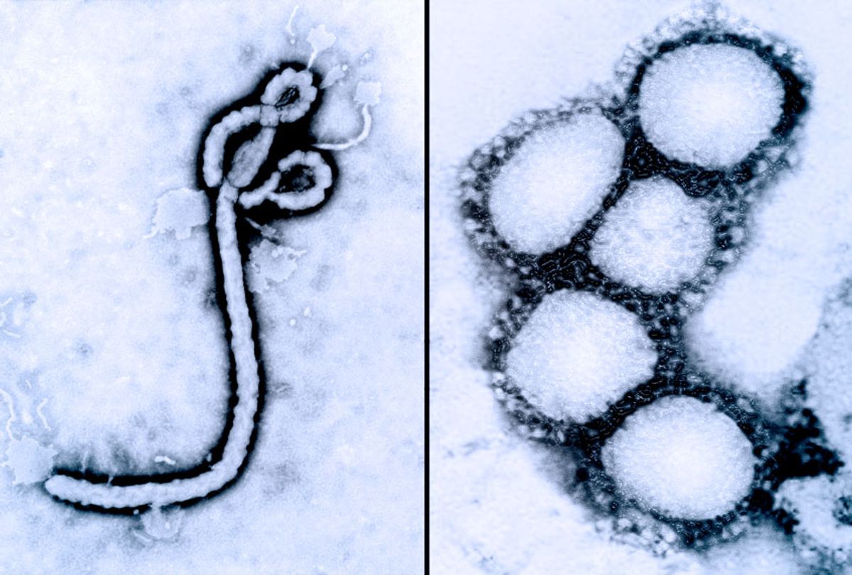 The Ebola Virus and the Coronavirus looked at through a microscope (Getty Images)