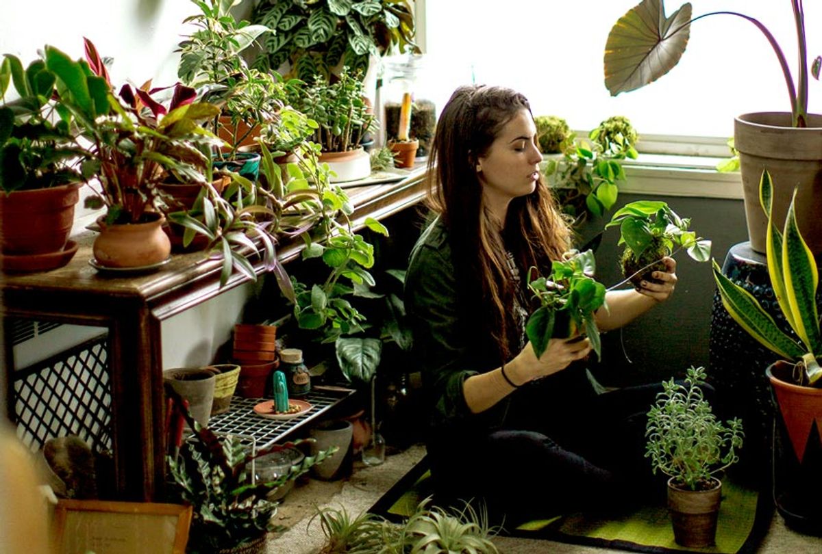 Young Adult Woman At Home Watering Indoor House Plants (Getty Images)