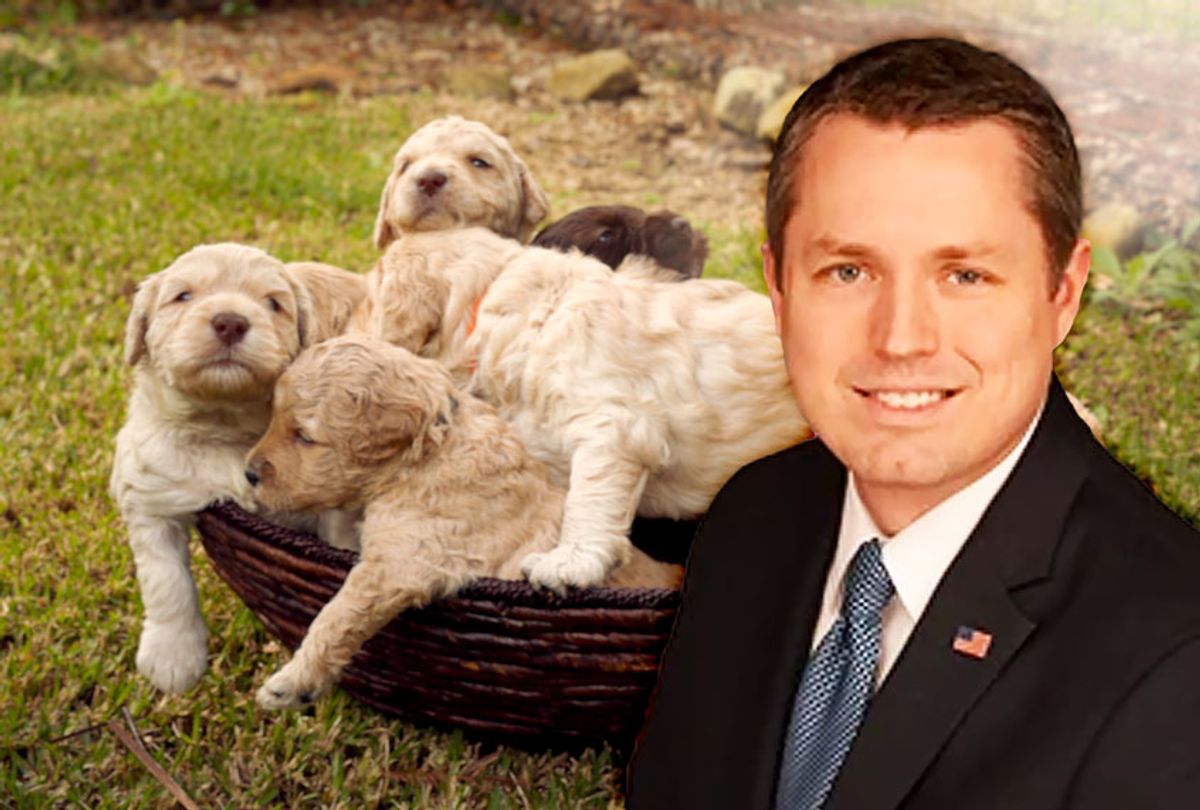 Brian Harrison | Labradoodle puppies (HHS website/Getty Images/Salon)