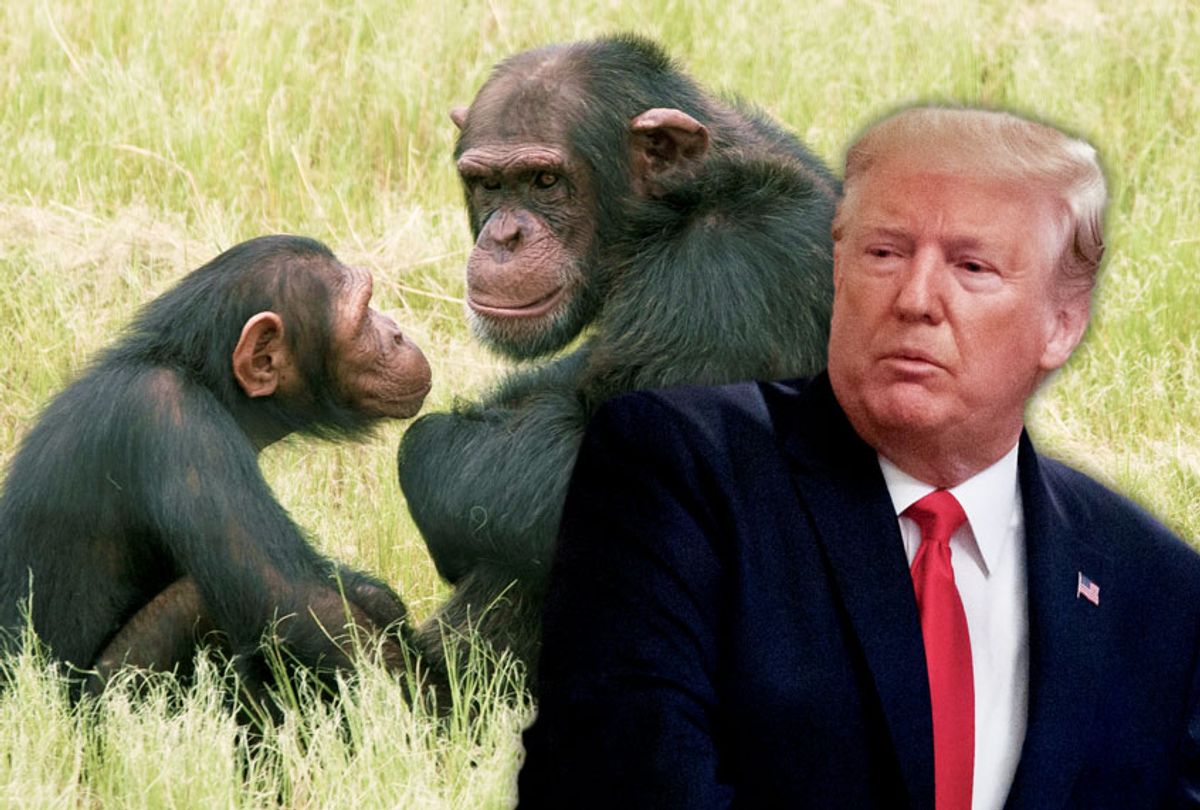 chimpanzee hand configuration