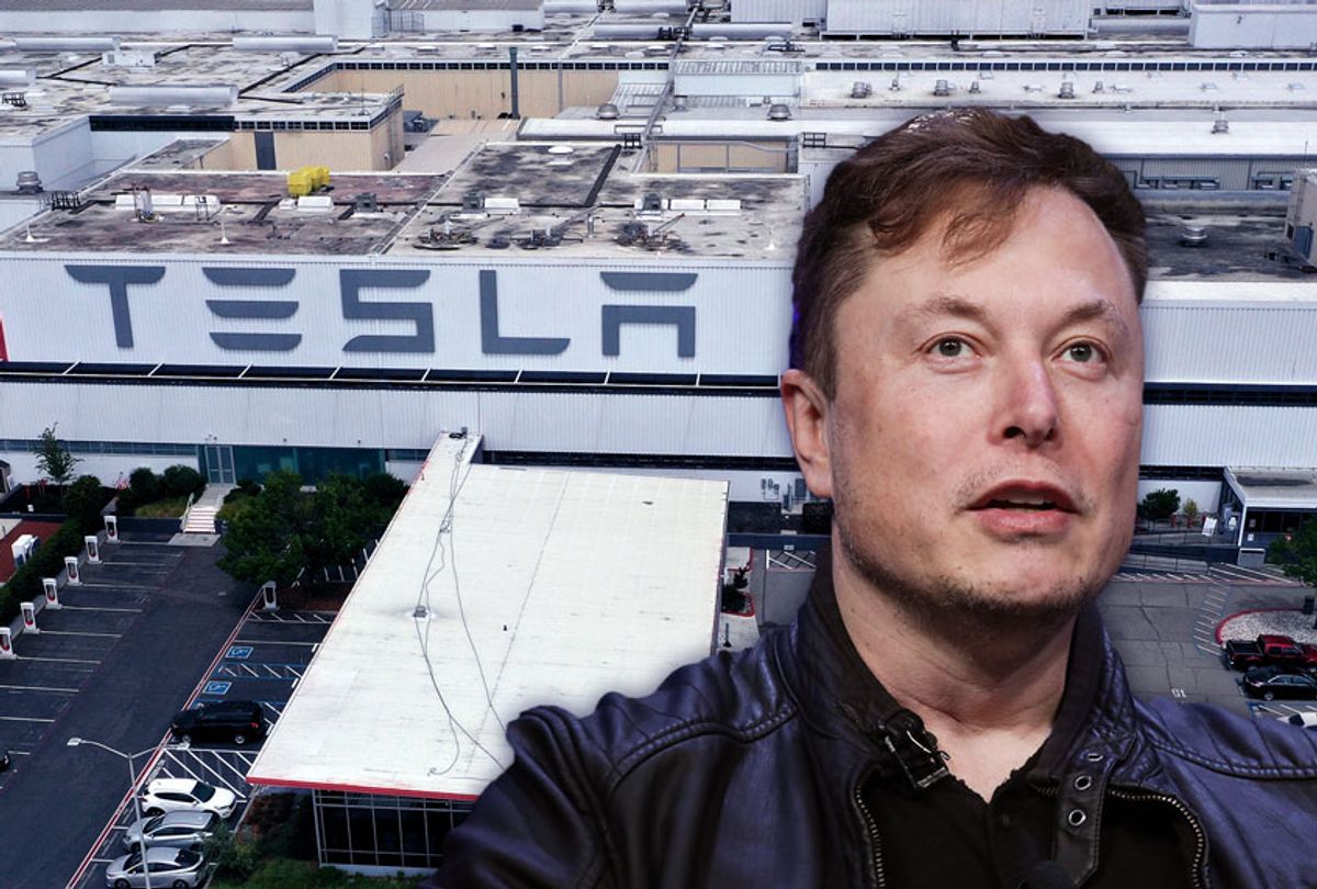 Elon Musk | Tesla Fremont Factory (Getty Images/Salon)