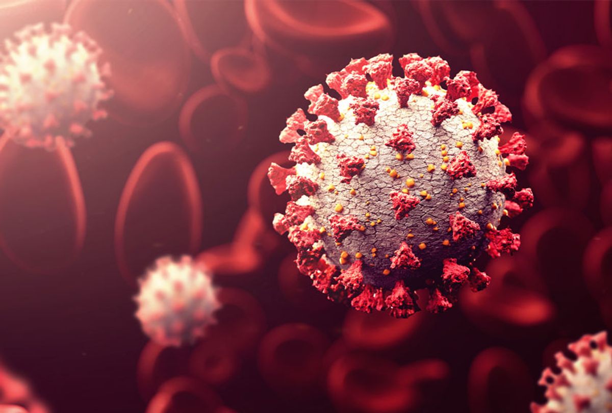Corona virus close up wide shot in blood (Getty Images)