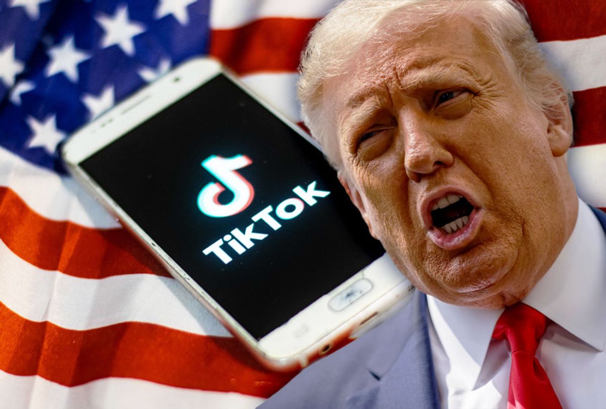Donald Trump | TikTok (Getty Images/Salon)