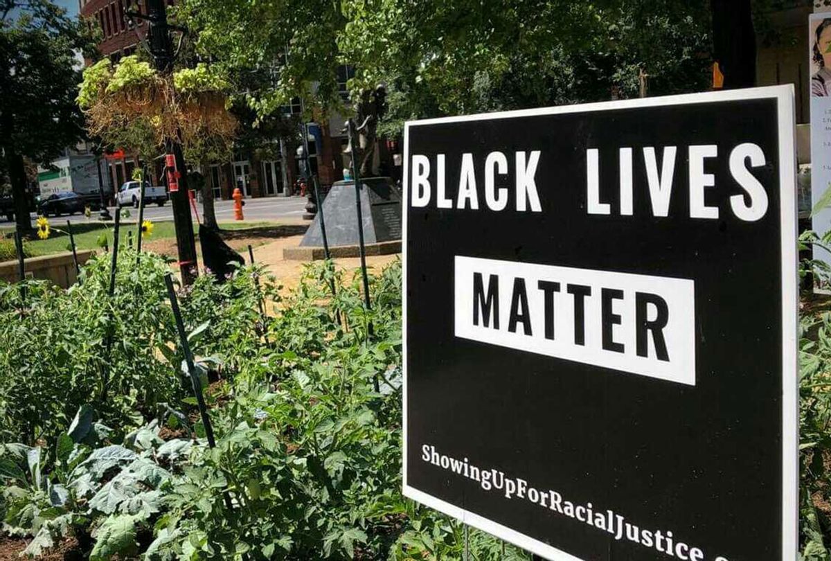 Injustice Square garden (Ashlie Stevens)