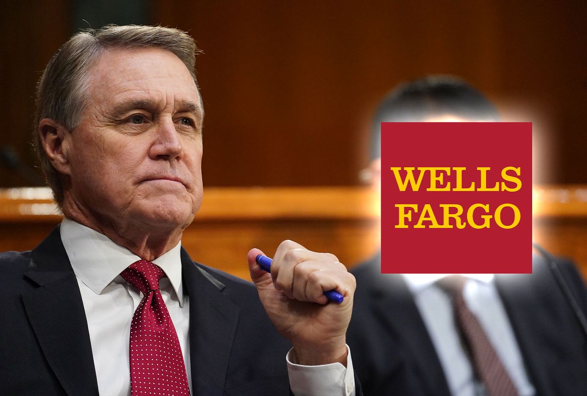 David Perdue | Wells Fargo logo (Photo illustration by Salon/Getty Images)