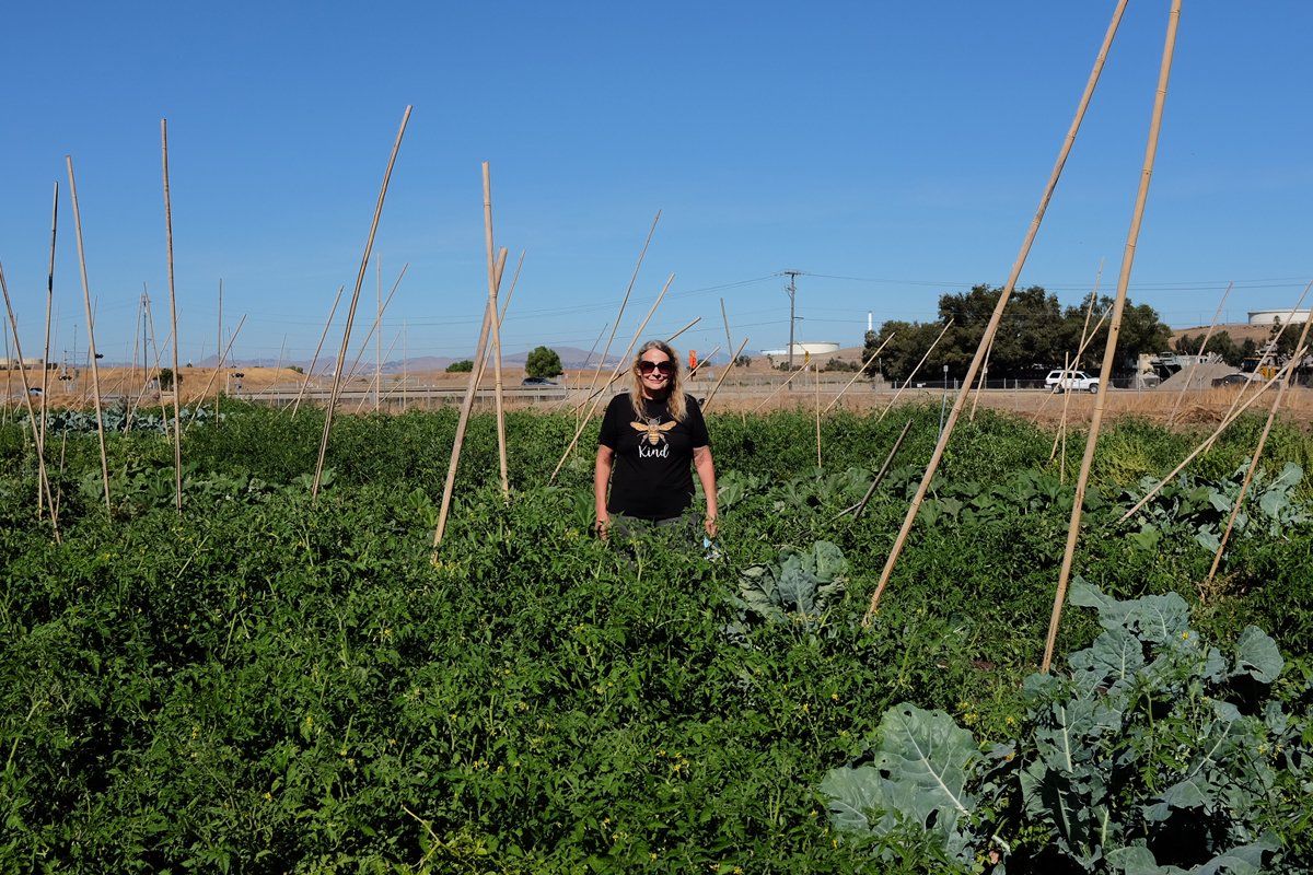 Carolyn Phinney stands in the field at CoCo San Sustainable Farm. (Cirrus Wood / Civil Eats)