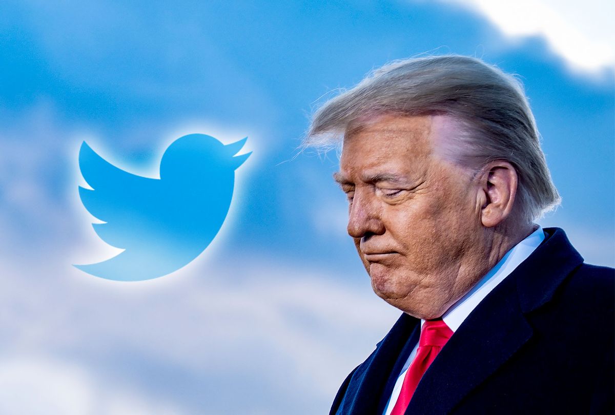 Donald Trump | Twitter Logo (Photo illustration by Salon/Getty Images/Twitter)
