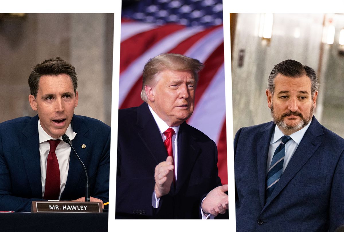 Josh Hawley, Donald Trump and Ted Cruz (Photo illustration by Salon/Getty Images)