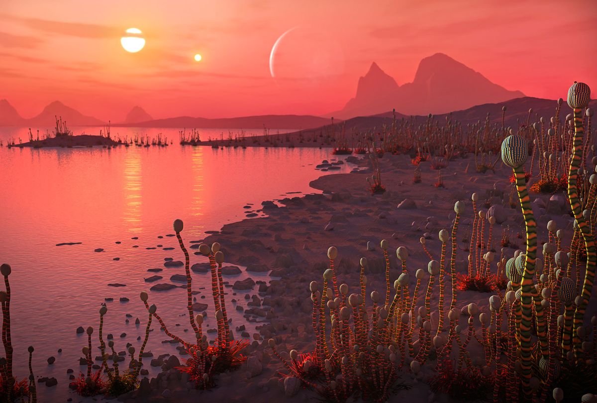 Illustration of alien plants on a hospitable foreign planet (Getty Images)