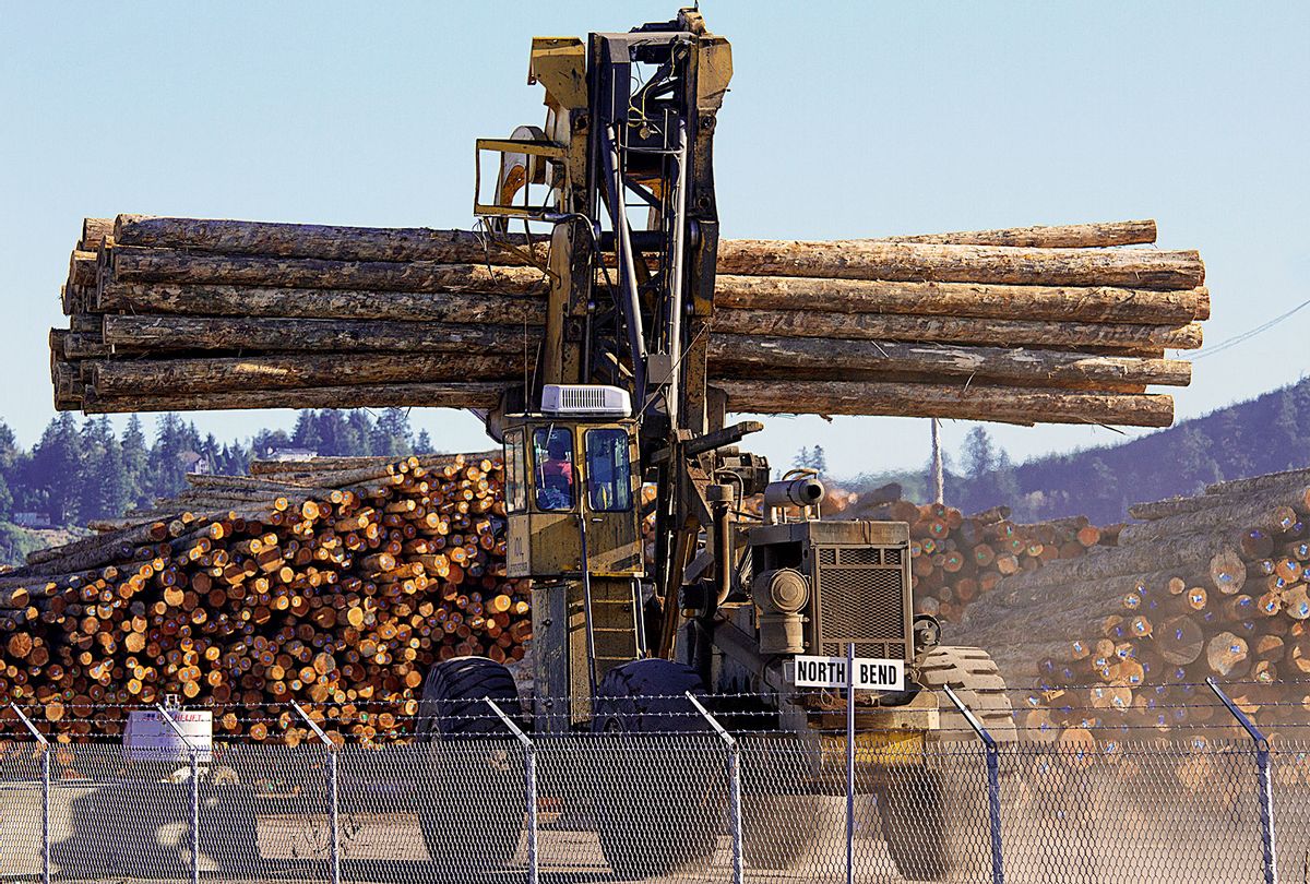 Logging in North Bend, Oregon USA (Braunger/ullstein bild via Getty Images)