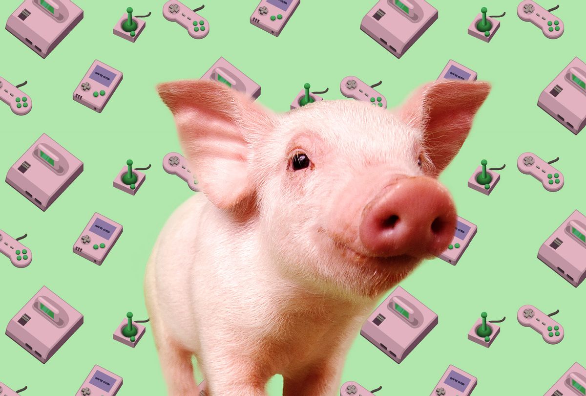 Pig | Video Games (Photo illustration by Salon/Getty Images)