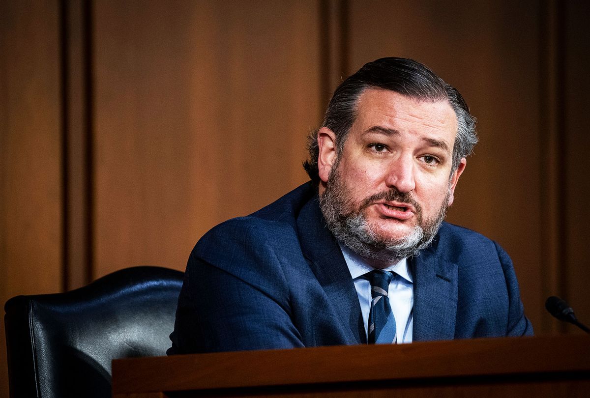 Sen. Ted Cruz (R-TX) speaks as Judge Merrick Garland testifies before a Senate Judiciary Committee hearing on his nomination to be US Attorney General on Capitol Hill in Washington, DC on February 22, 2021. (AL DRAGO/POOL/AFP via Getty Images)