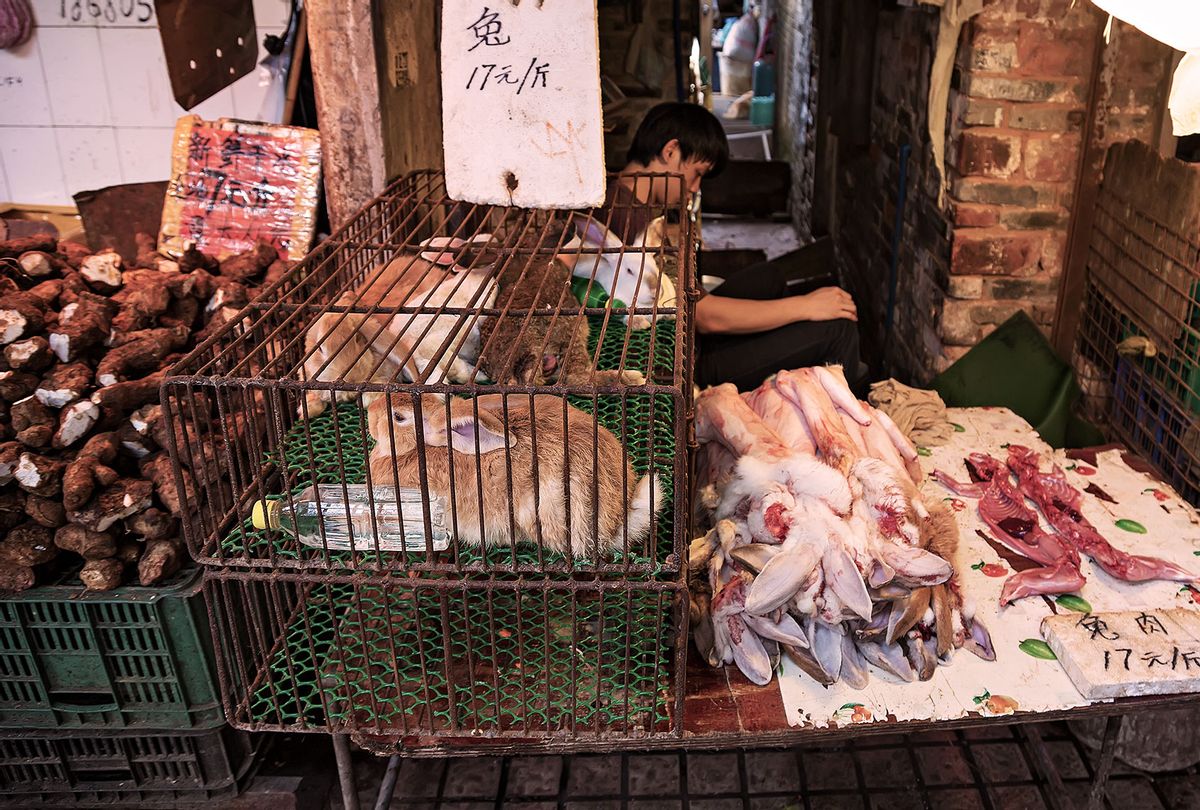 Live Animal Market (Getty Images)