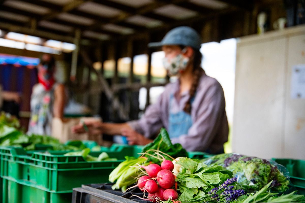 A farmers market in operation during COVID-19.  (Getty Images)