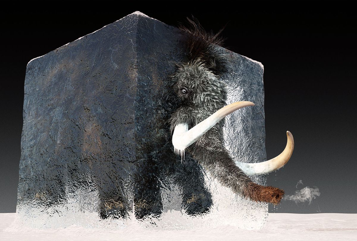 Mammoth is partially thawed and emerging from the ice block (Getty Images)