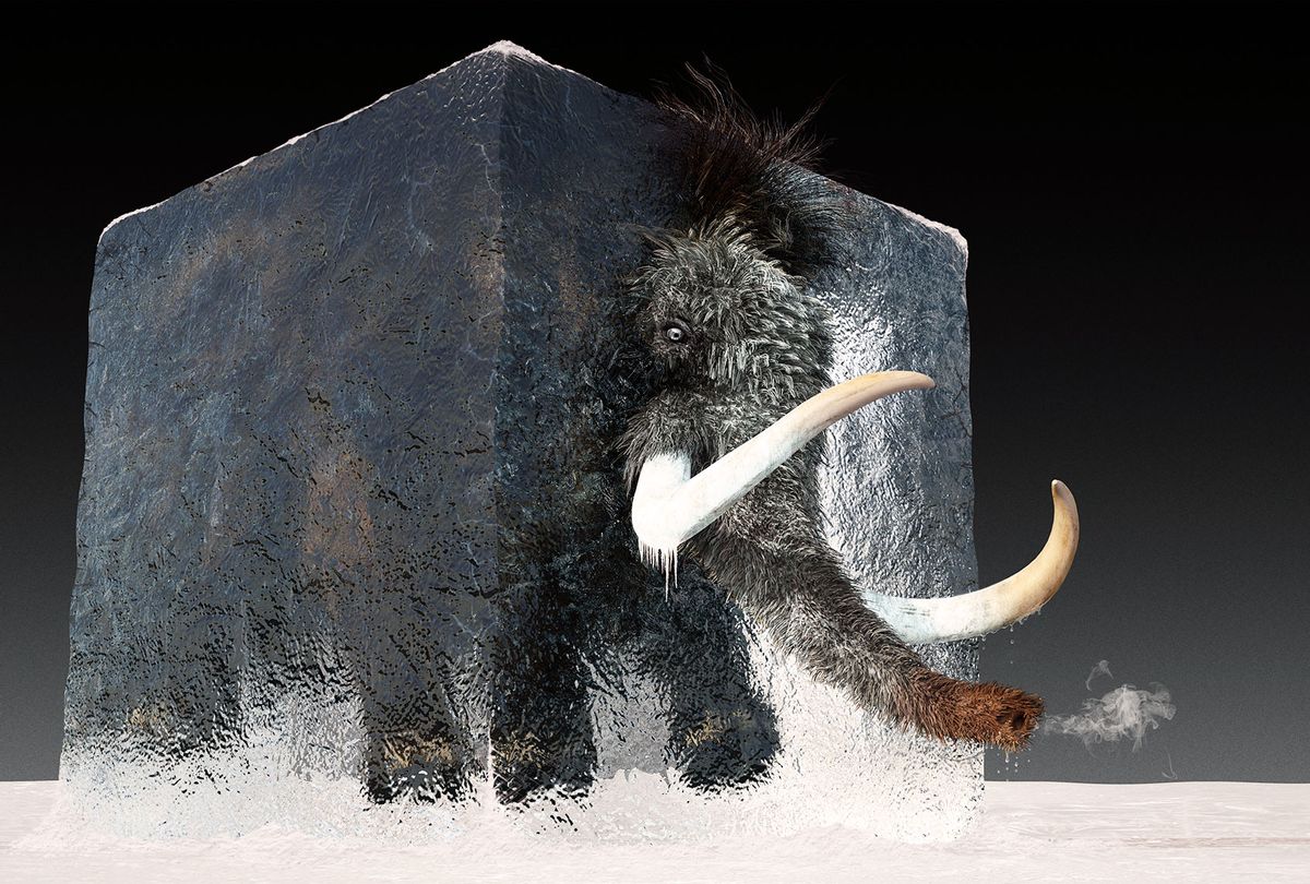 ancestral mammoth