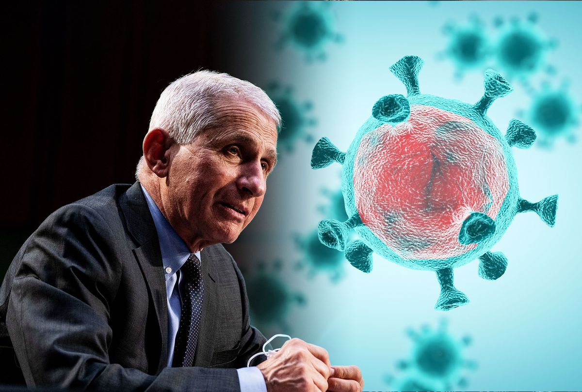 Anthony Fauci | COVID-19 (Photo illustration by Salon/Getty Images)