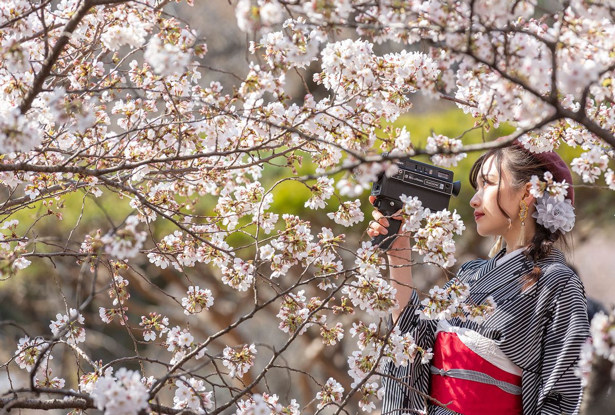 A woman poses for photos during the sakura, cherry blossom, bloom in Tokyo, Japan (Yuichi Yamazaki/Getty Images)