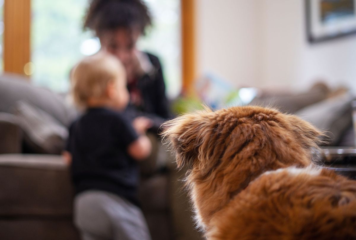 A dog watches on as a girl plays with a child (Getty Images)