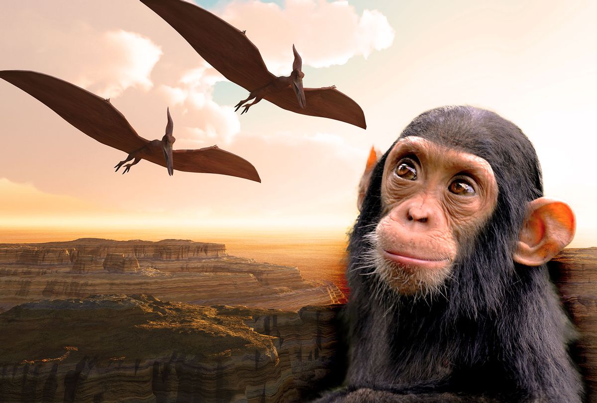 Two Pterosaurs and a chimpanzee (Photo illustration by Salon/Getty Images)