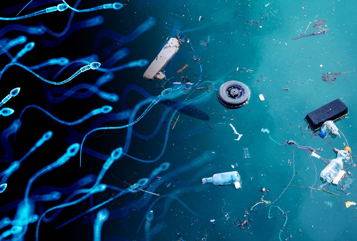 Sperm Count | Ocean Pollution  (Photo illustration by Salon/Getty Images)