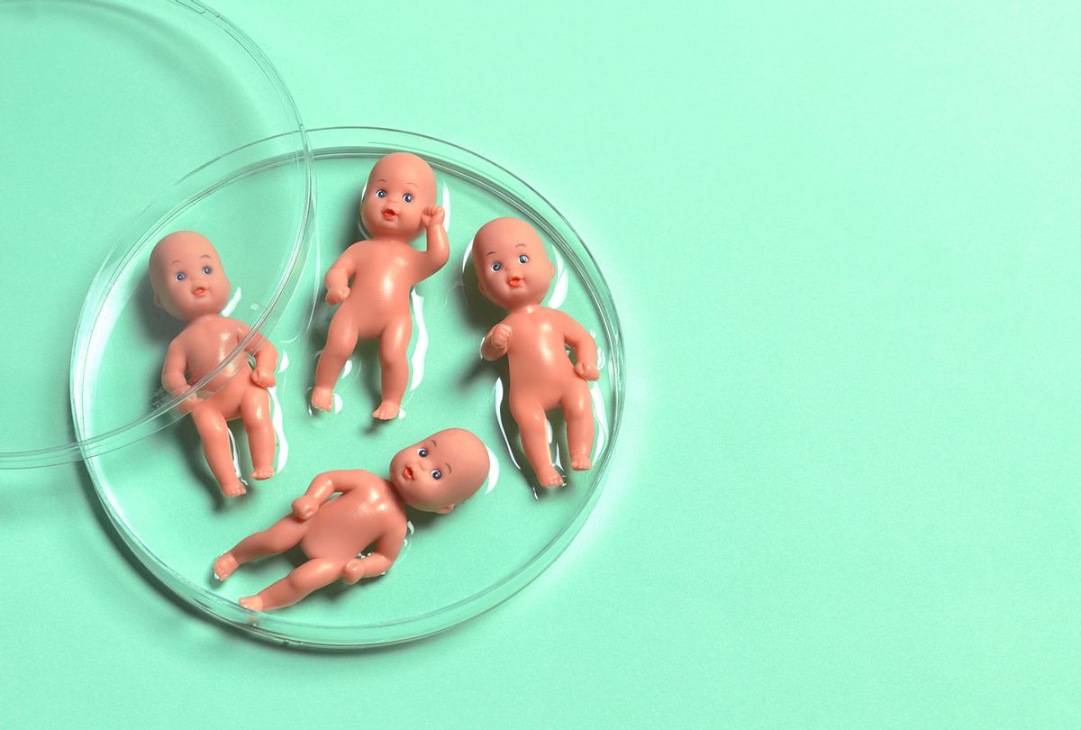 Babies on a petri dish (Getty Images)