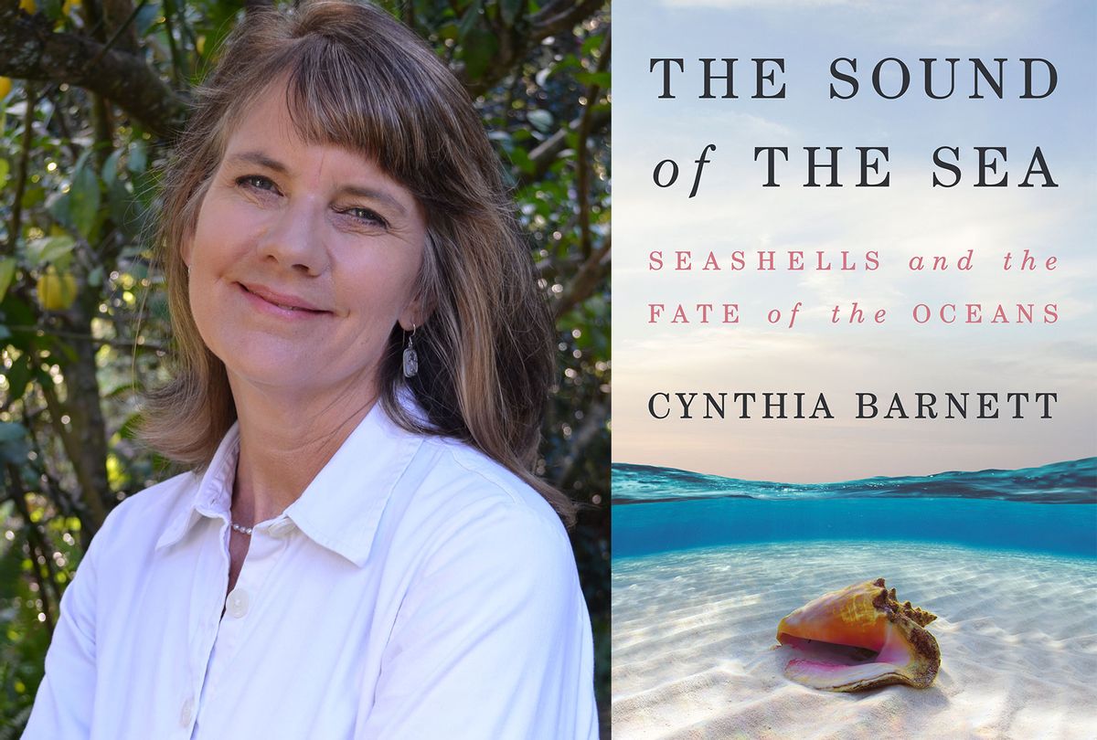 The Sound Of The Sea by Cynthia Barnett (Photo illustration by Salon/Jennifer Adler/W. W. Norton & Company)
