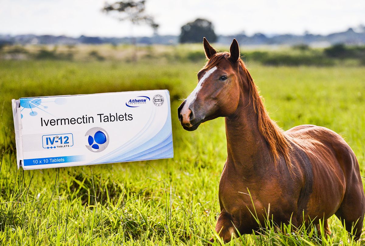 A Horse and Ivermectin Tablets (Photo illustration by Salon/Getty Images)
