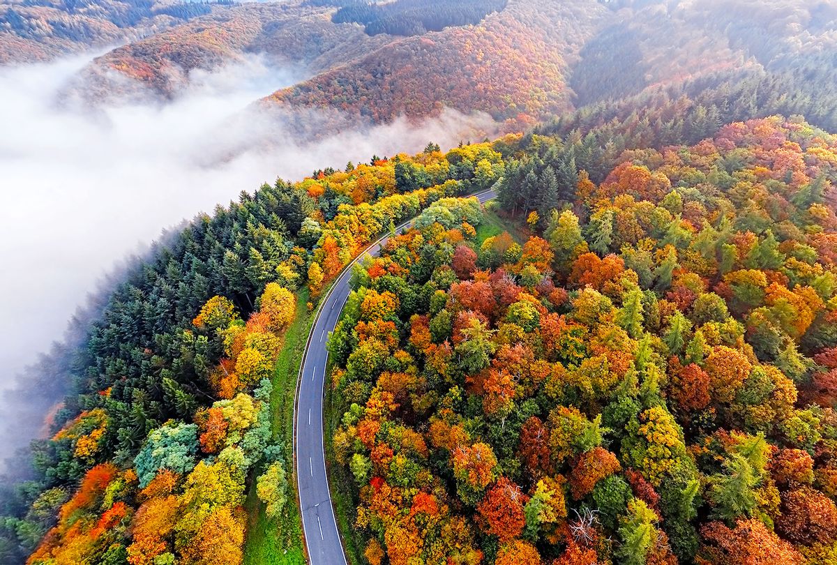 Autumn Forest Road (Getty Images/rusm)