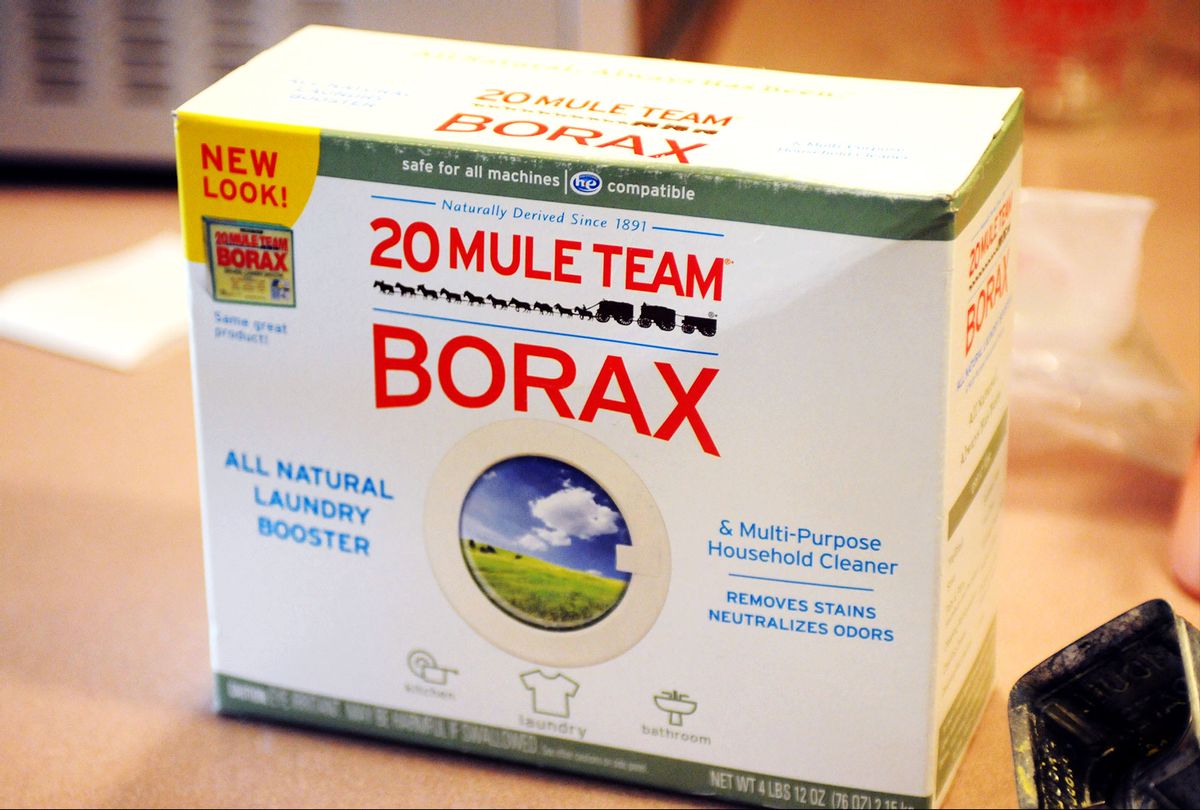 Borax Laundry Soap Box (Lauren A. Little/MediaNews Group/Reading Eagle/Getty Images)