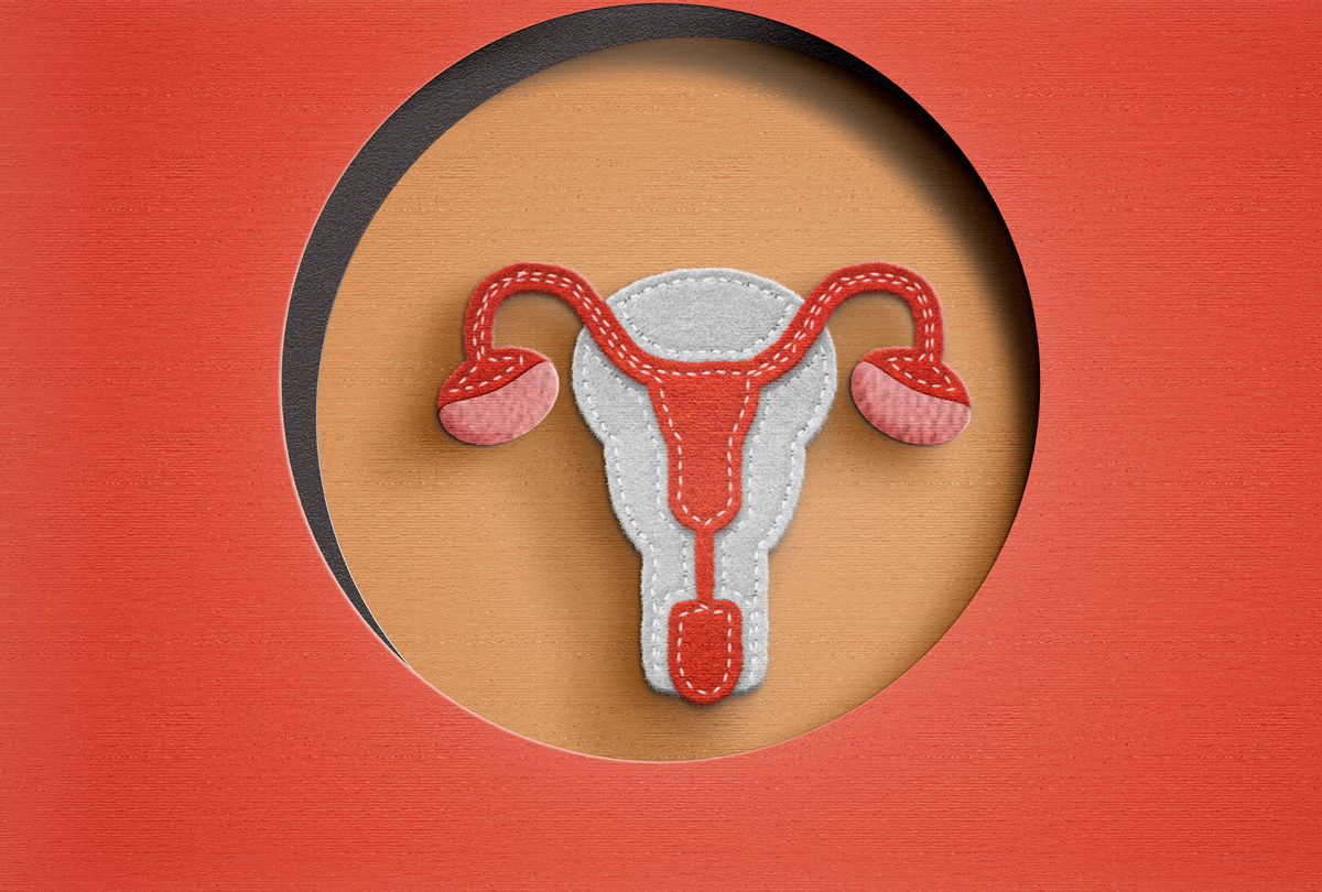 Female reproductive system in paperwork (Getty Images/Carol Yepes)