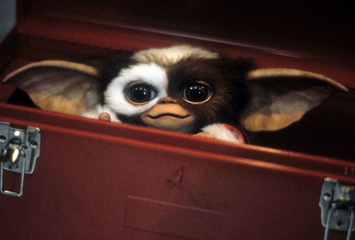 Gizmo the mogwai hides in a tool box in a scene from the 1984 film "Gremlins" (Warner Brothers/Getty Images)