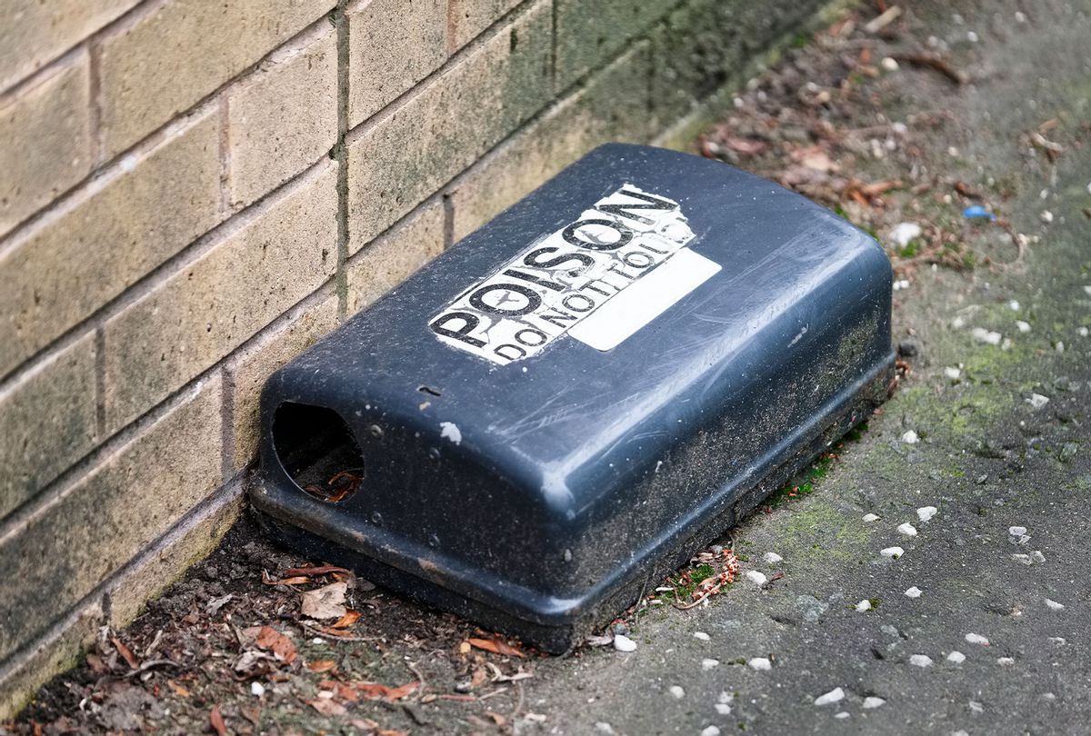 Rat poison trap box (Getty Images/richard johnson)