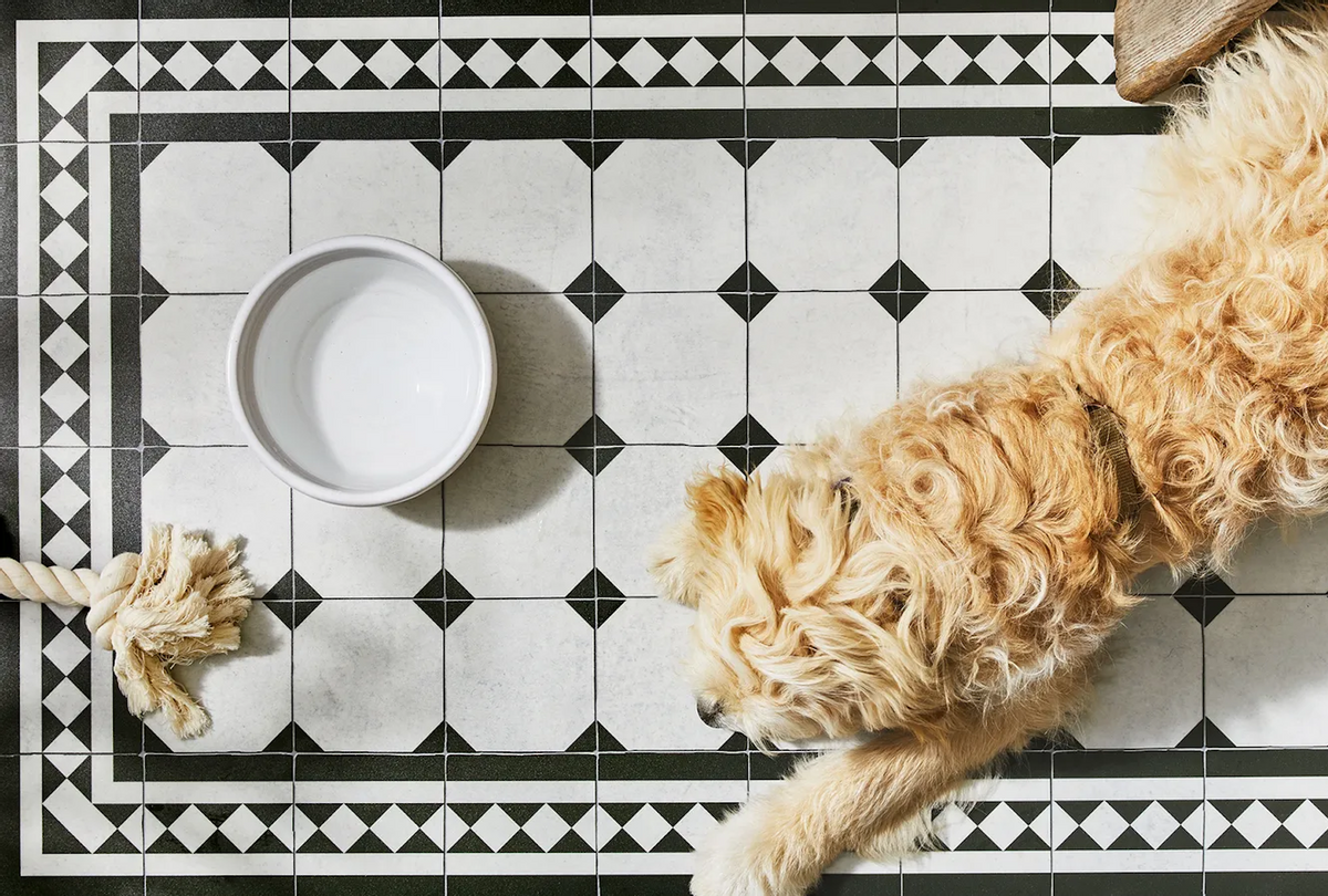  (Julia Gartland / Food52)