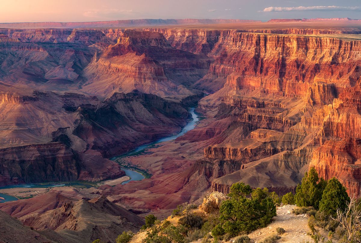 Left Out To Dry Wildlife Threatened By Colorado River Basin Water   Colorado River Grand Canyon 0121221 