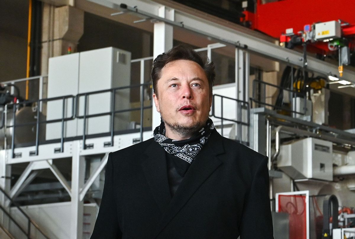 Elon Musk, Tesla CEO, stands in the foundry of the Tesla Gigafactory (Patrick Pleul/picture alliance via Getty Images)
