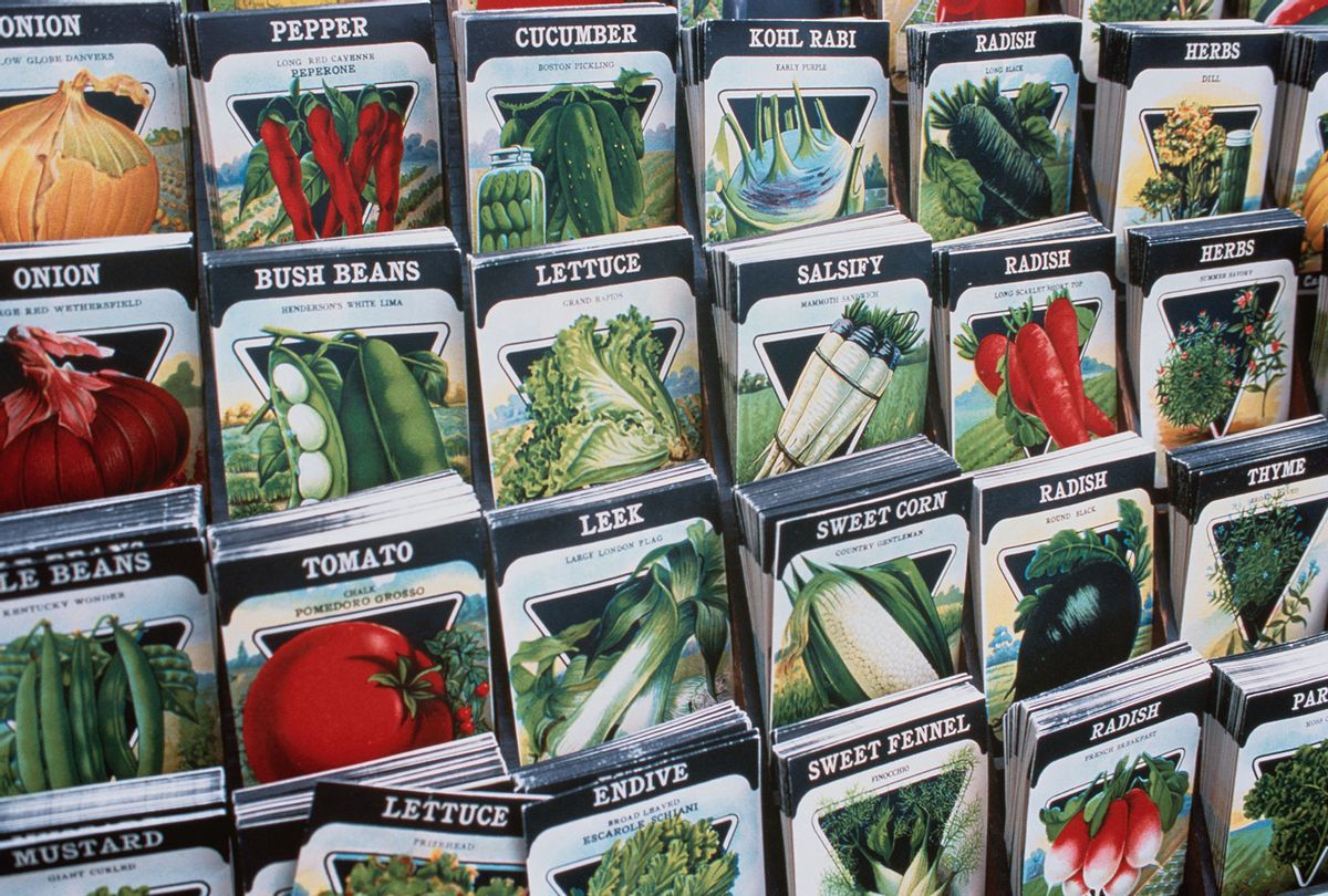 Seed Packets (Getty Images/Jake Wyman)
