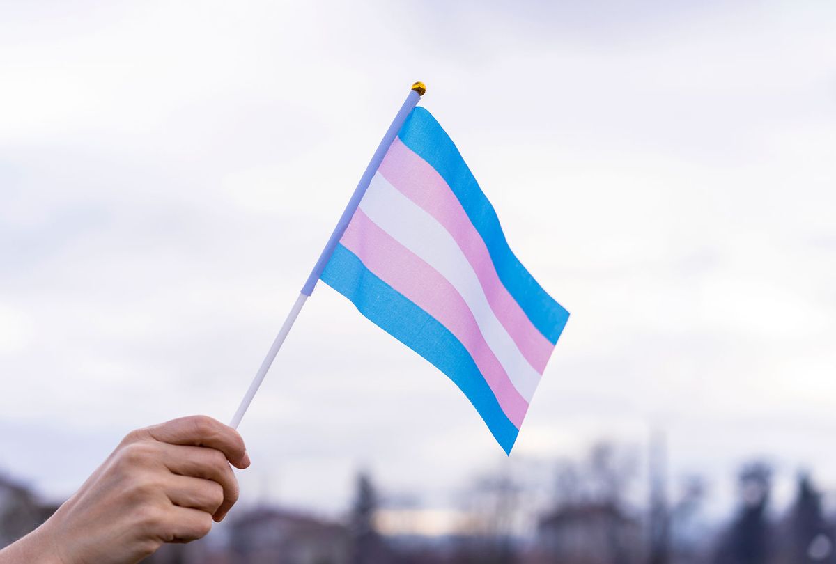 Transgender Flag (Getty Images/Vladimir Vladimirov)