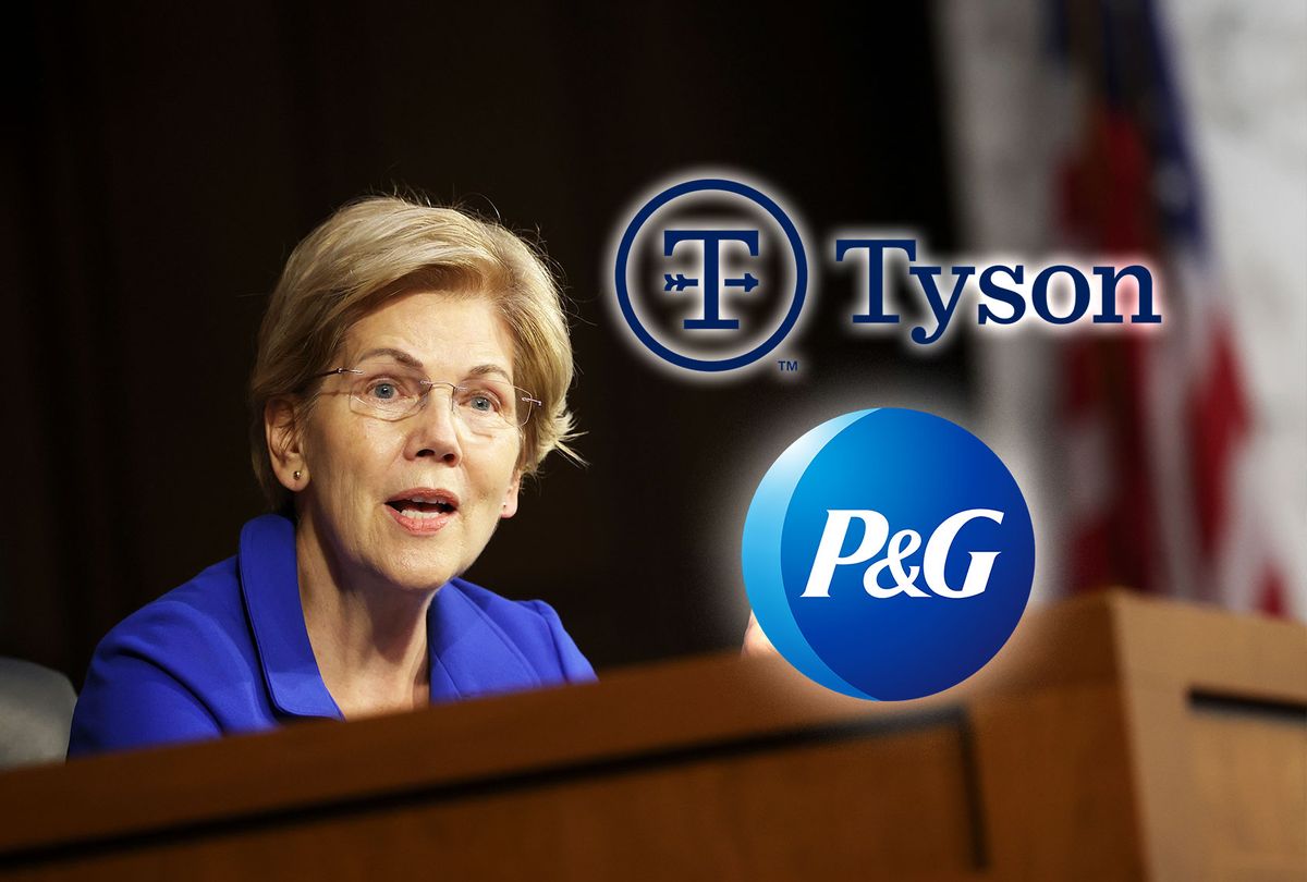 Elizabeth Warren, and the logos of Tyson Foods and Procter & Gamble (Photo illustration by Salon/Getty Images/Tyson Foods/Procter & Gamble)