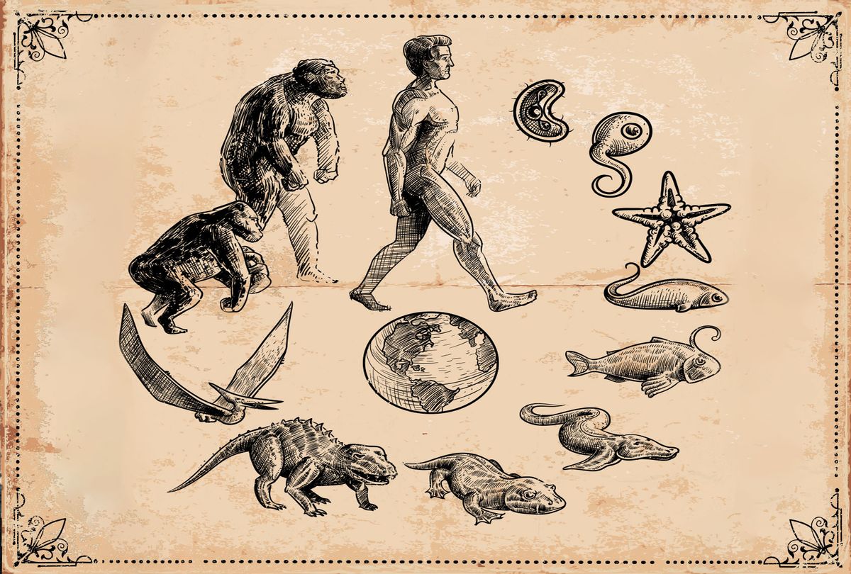 Evolution of Life on Earth illustration (Getty Images/Man_Half-tube)