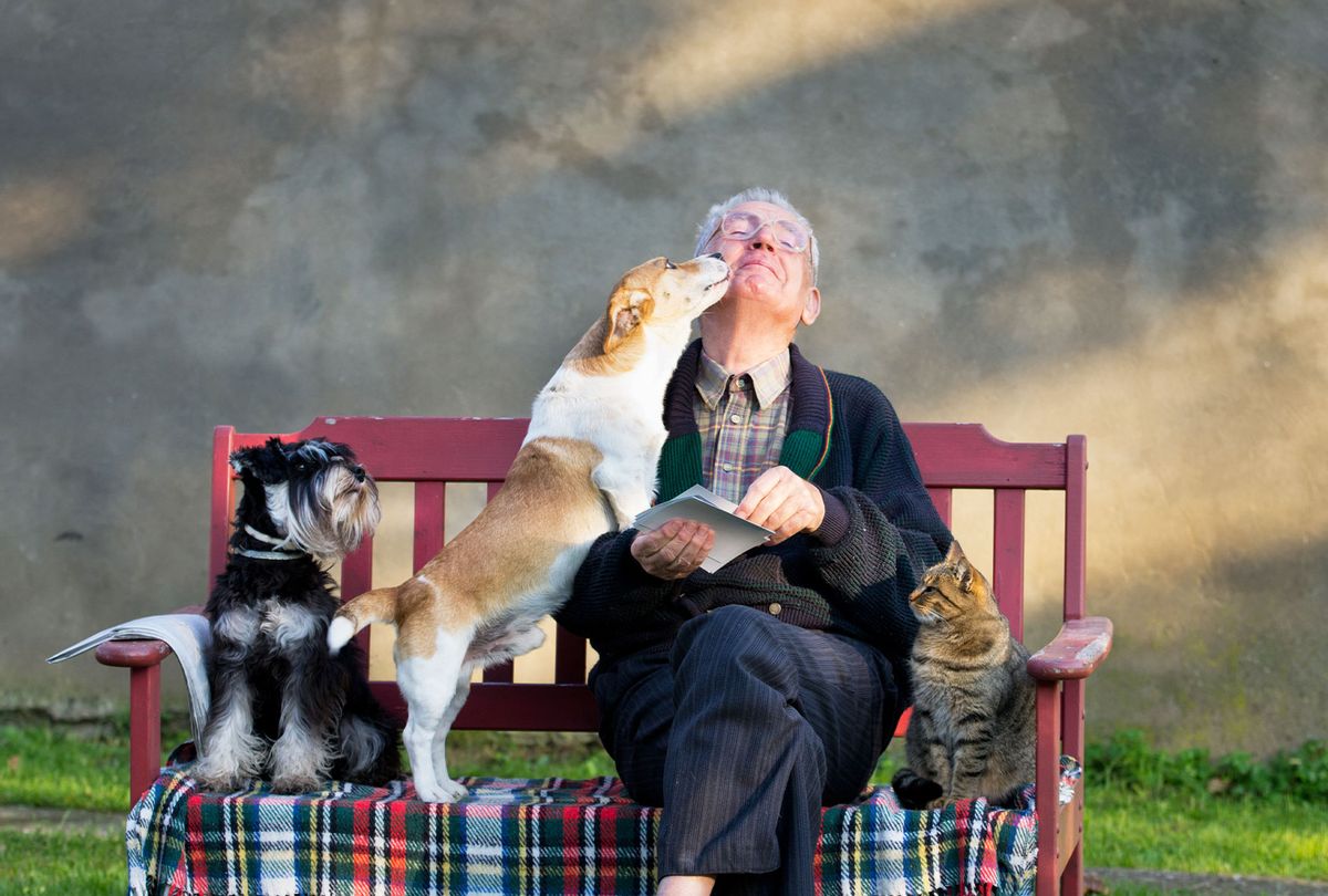Senior man with dogs and cat on his lap on bench (Getty Images/Jevtic)