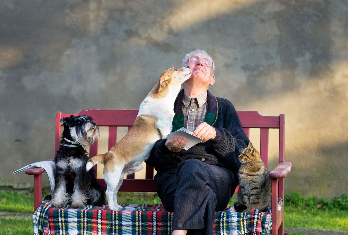 Having a dog or cat can slow cognitive decline in seniors, new study finds  | Salon.com